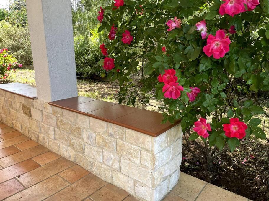 Rose Country Villa Cassano delle Murge Dış mekan fotoğraf
